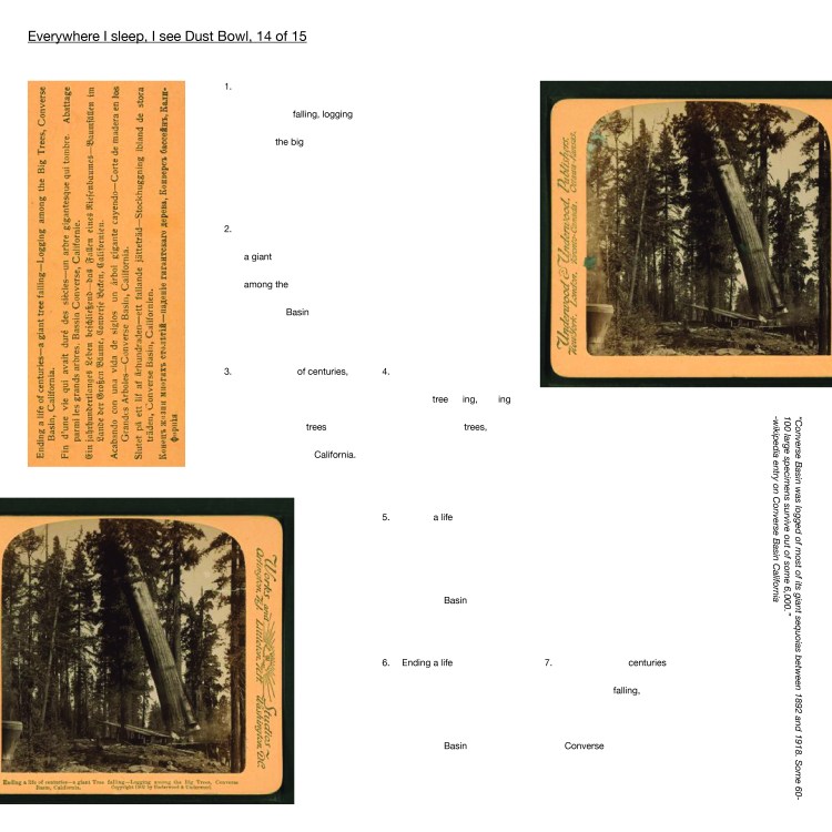 Multimedia collage: “Converse Basin was logged of most of its giant sequoias between 1892 and 1918. Some 60- 100 large specimens survive out of some 6,000.” -wikipedia entry on Converse Basin California